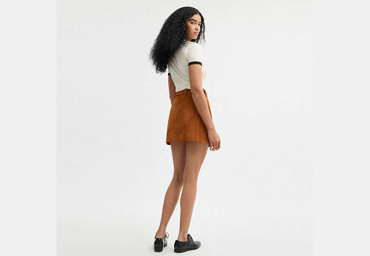 Suede Skirt