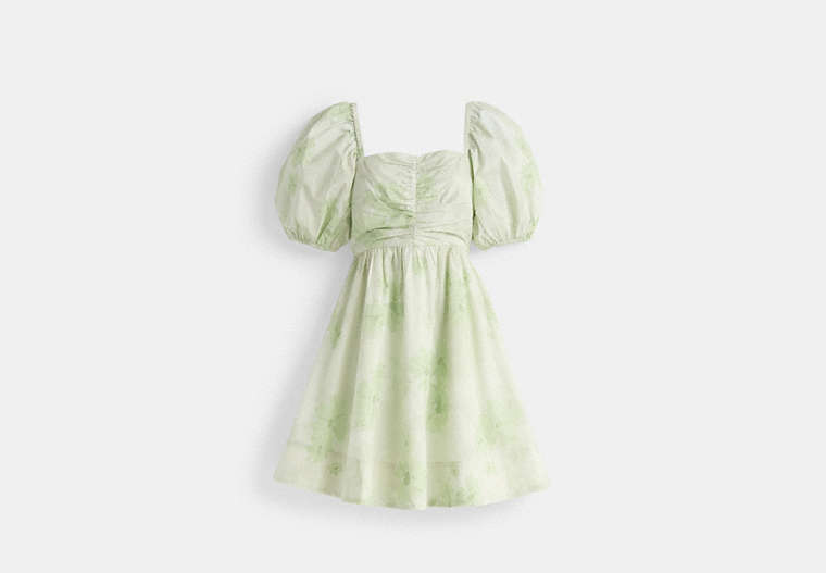 Restored Puff Sleeve Mini Dress