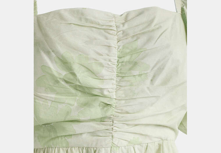 Restored Puff Sleeve Mini Dress
