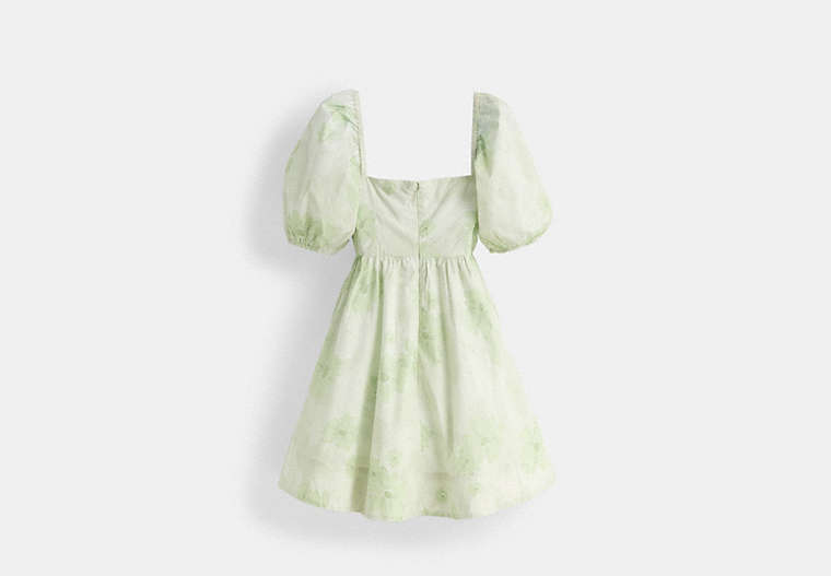 Restored Puff Sleeve Mini Dress