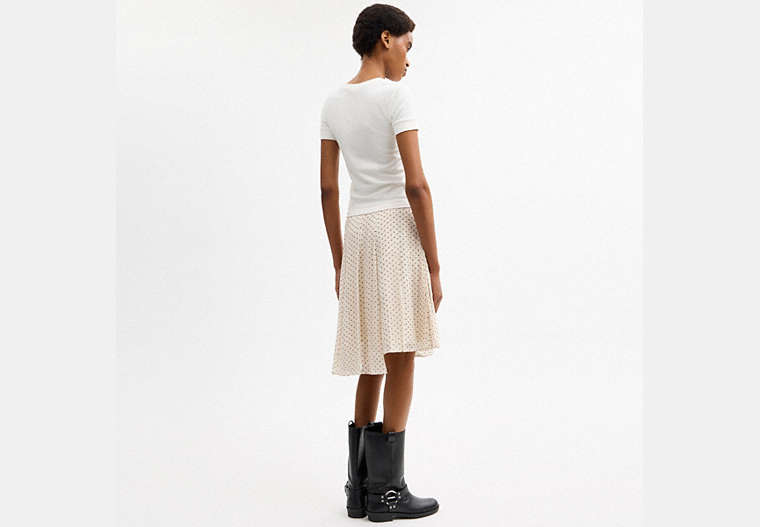 Printed Asymmetrical Pleated Skirt