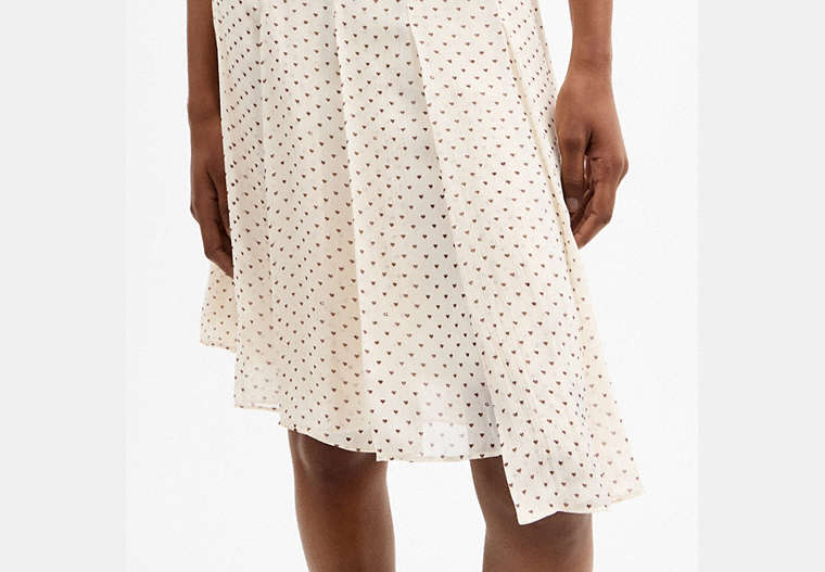 Printed Asymmetrical Pleated Skirt