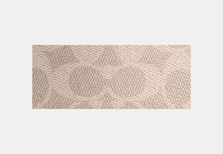 Mini Carey Crossbody Bag In Signature Canvas