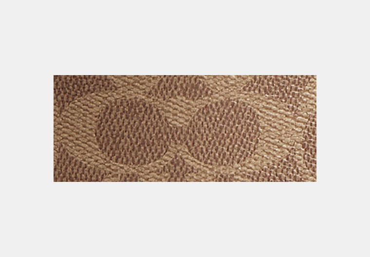 Mini Carey Crossbody Bag In Signature Canvas