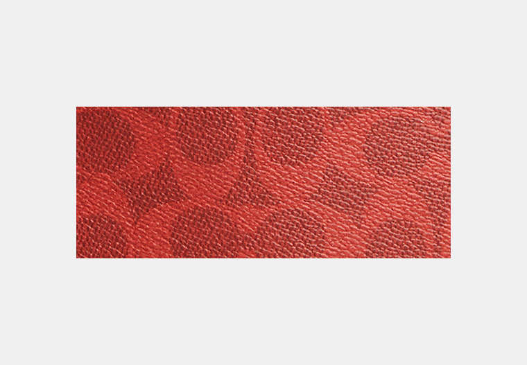 Mini Carey Crossbody Bag In Signature Canvas