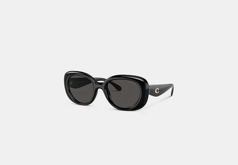 C Hardware Round Sunglasses