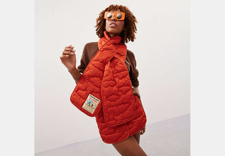 Coachtopia Loop Scarf With Cloud Quilting