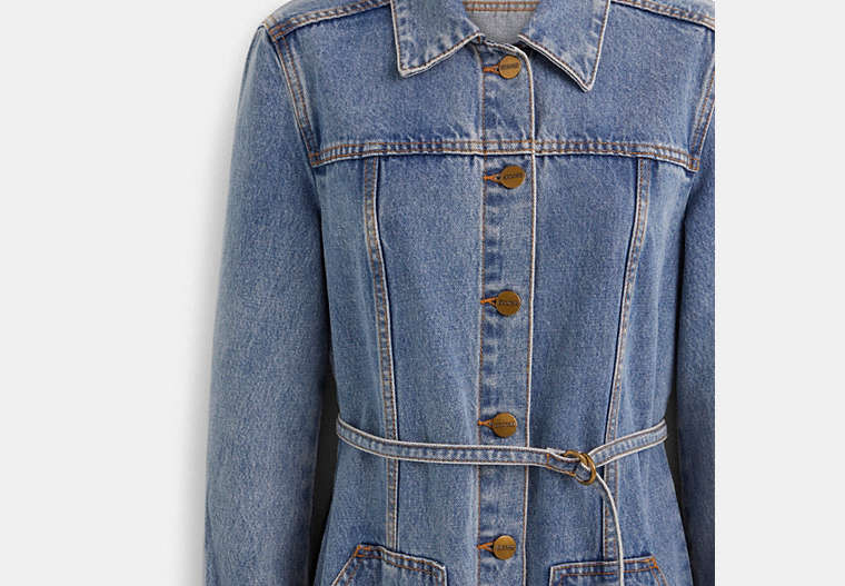 Restored Denim Dress