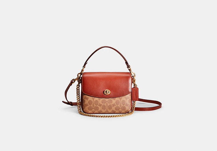 Restored Cassie Crossbody 19 In Signature Canvas