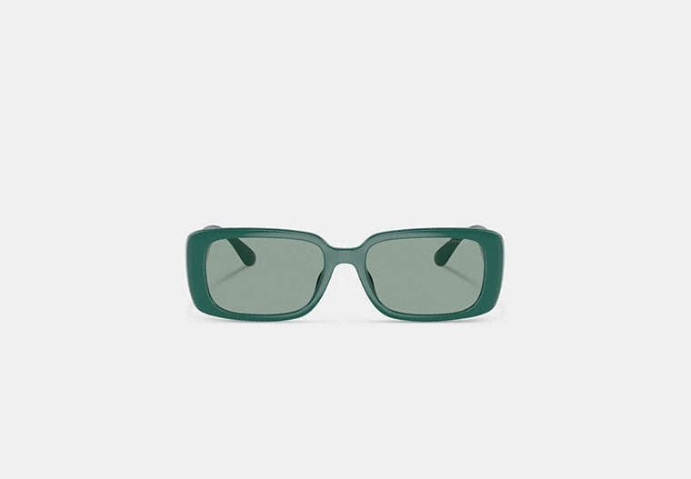 Narrow Rectangle Sunglasses