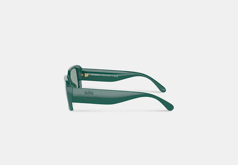 Narrow Rectangle Sunglasses