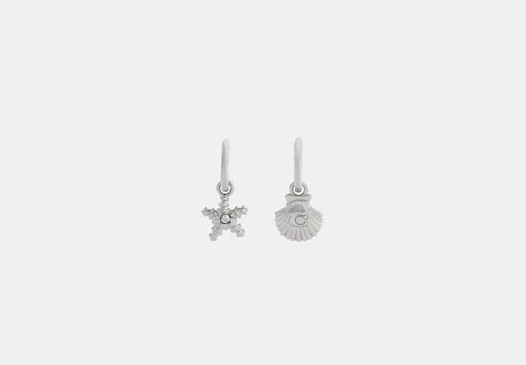 Seashells Huggie Earrings