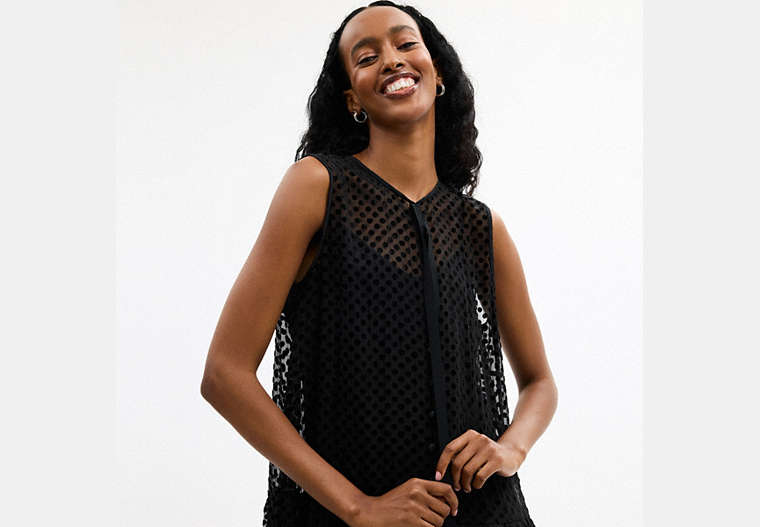 Velvet Burnout Dress