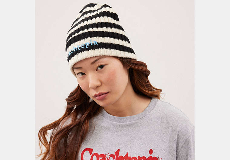Beanie With Stripe Pattern