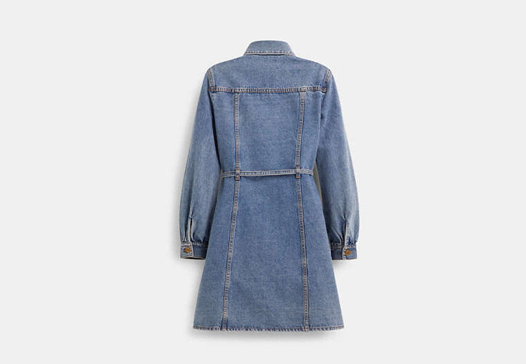 Restored Denim Dress