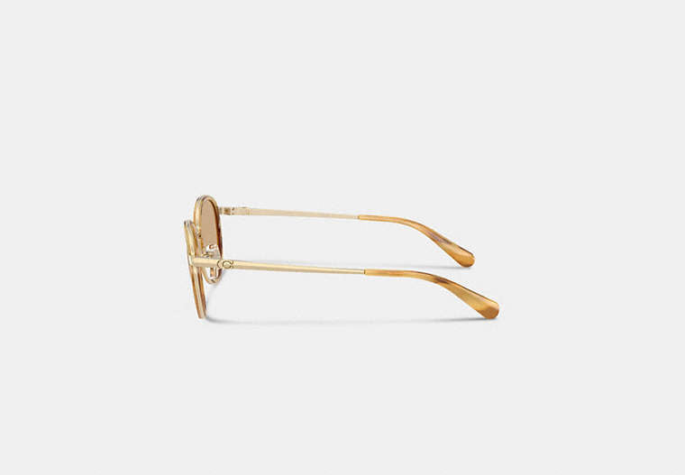 Chunky Narrow Rectangle Sunglasses