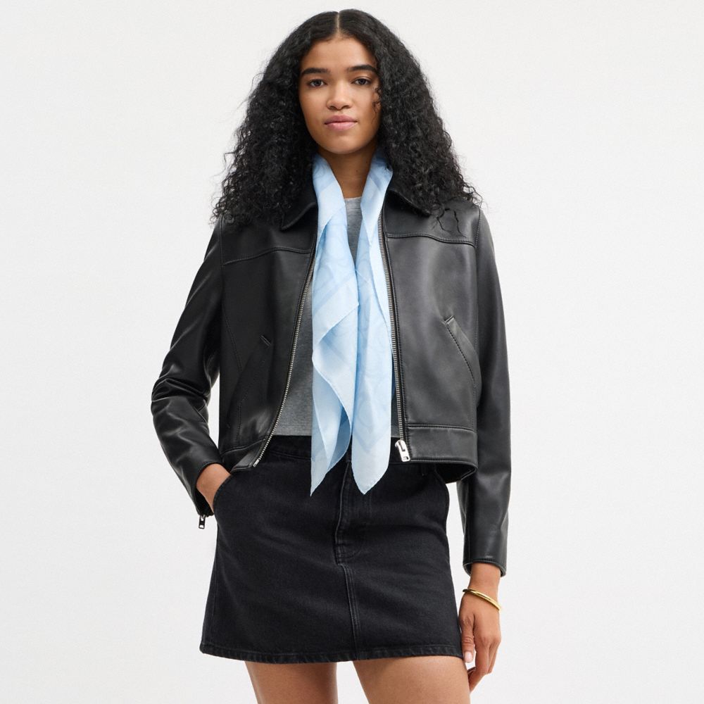 Jumbo Signature Silk Square Scarf