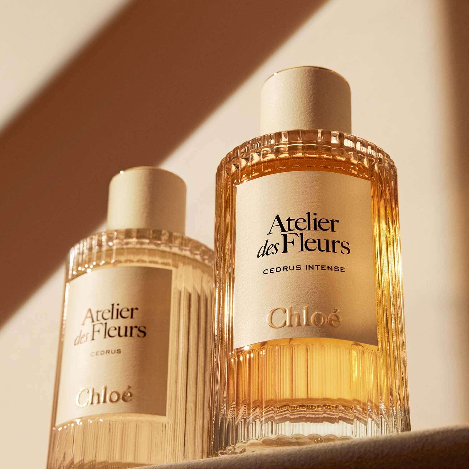 Chloe Atelier Des Fleurs Cedrus Intense EDP (150 ml) - Chloe
