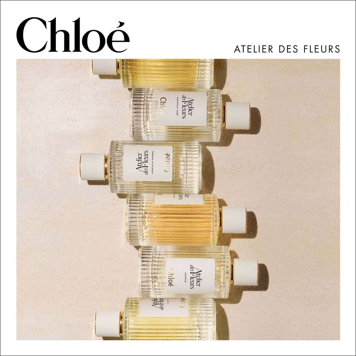 Chloe Atelier Des Fleurs Cedrus Intense EDP (150 ml) - Chloe