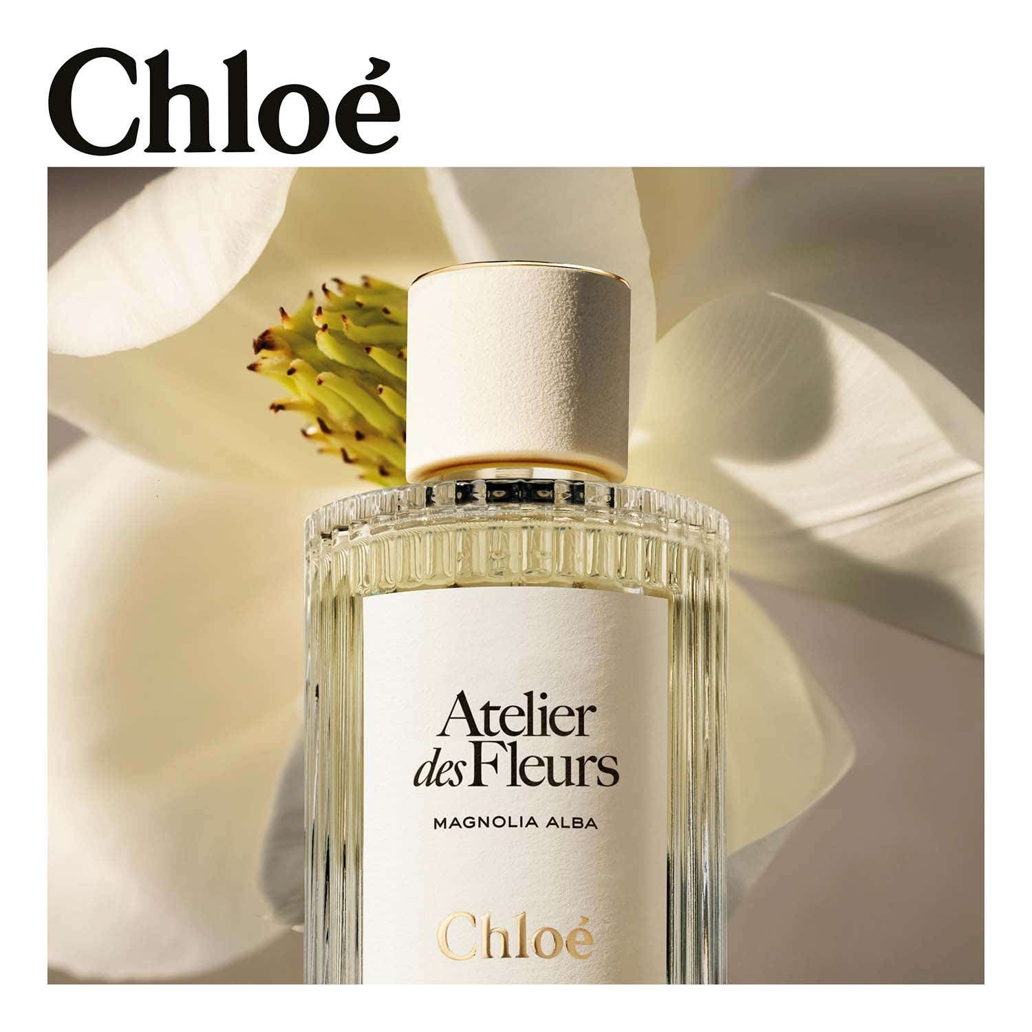 Chloe Atelier Des Fleurs Magnolia Alba EDP (150 ml) - Chloe