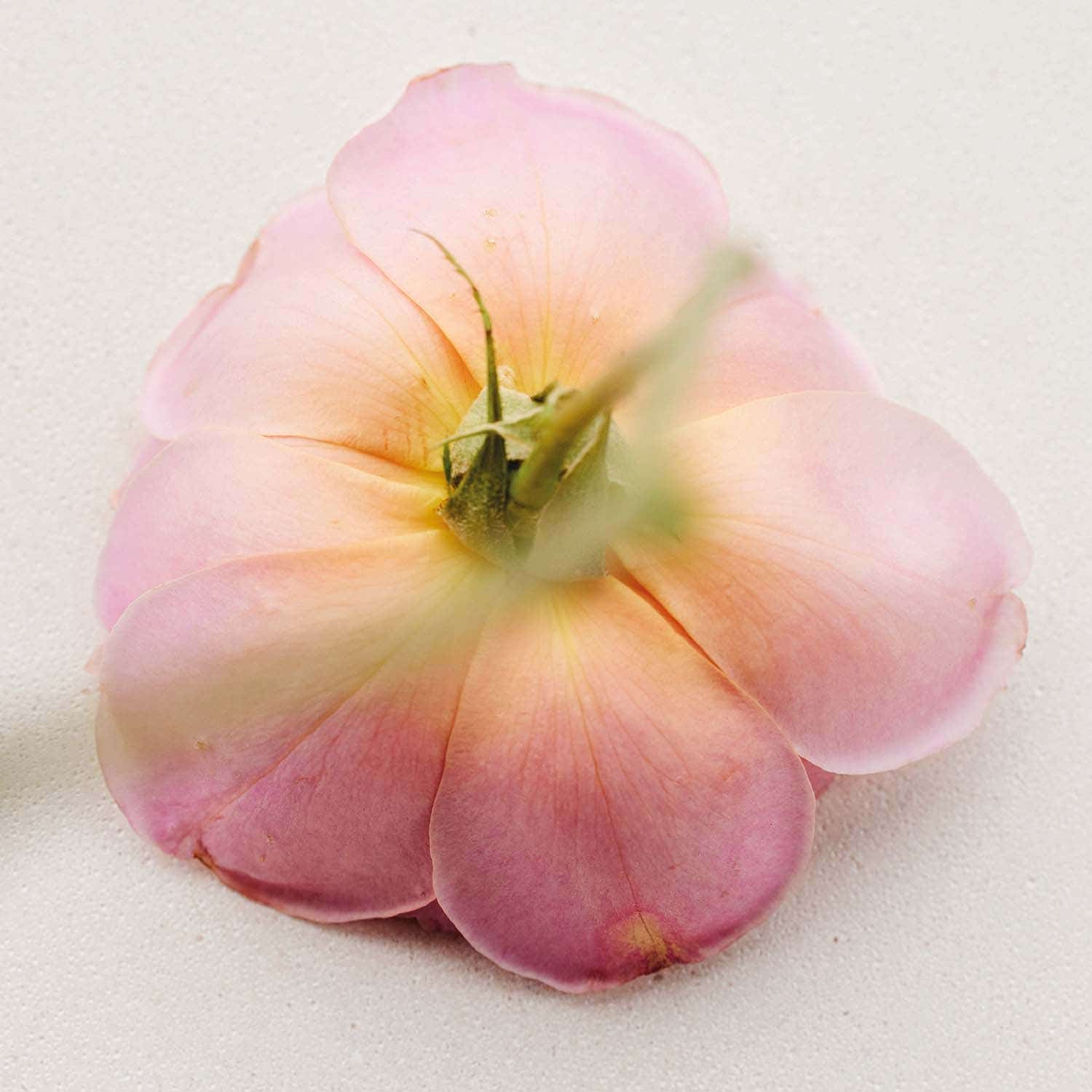 Chloe Atelier Des Fleurs Rosa Damascena EDP (150 ml) - Chloe