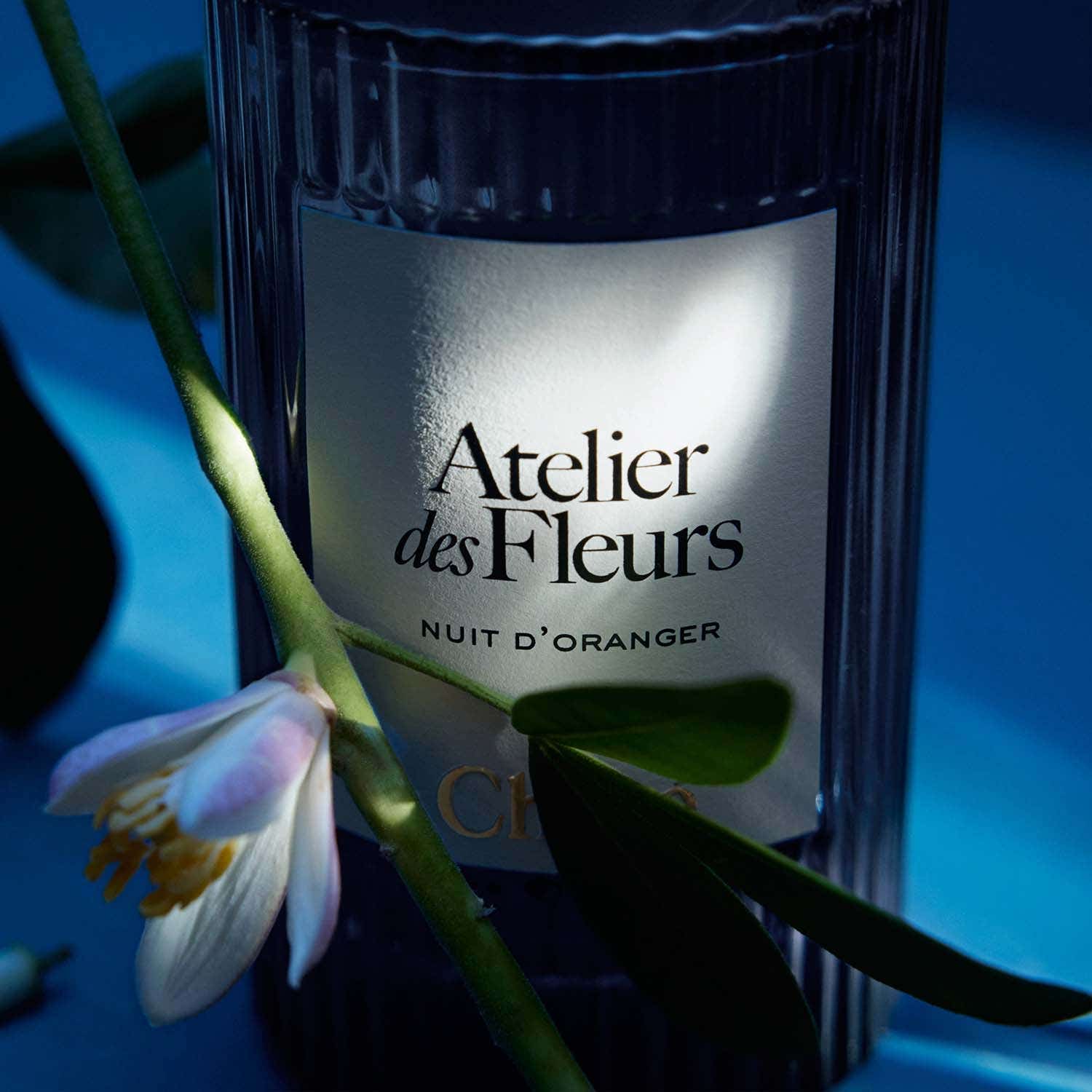 Chloe Atelier Des Fleurs Nuit D'Oranger EDP (50 ml) - Chloe