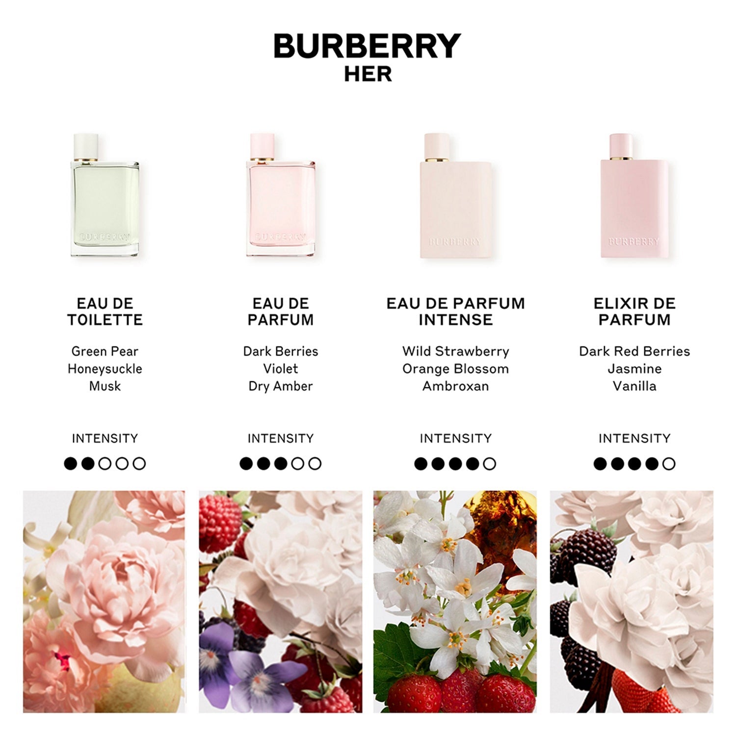Burberry Her Eau De Parfum Intense (100 ml) - Burberry