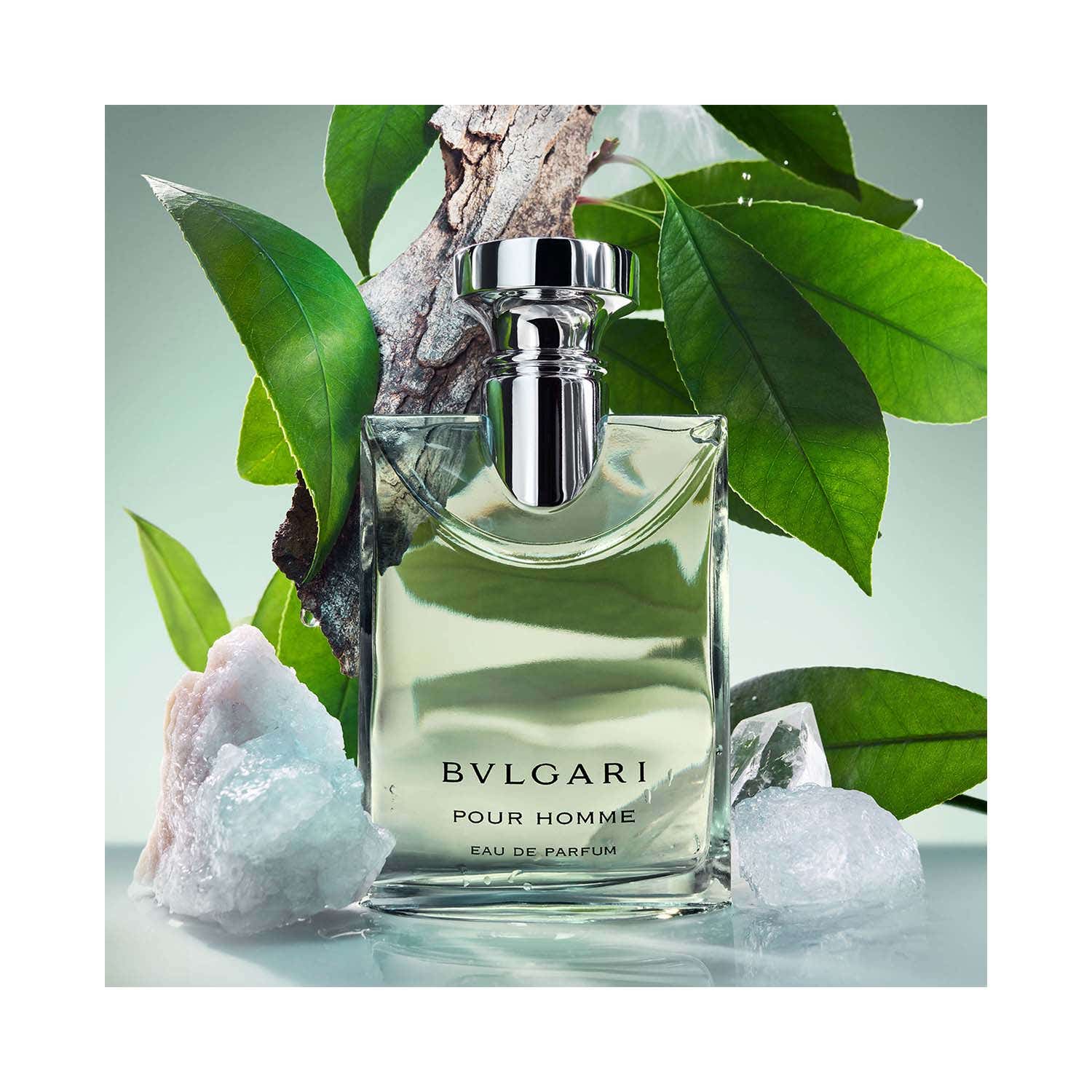 Bvlgari Pour Homme Eau De Parfum (100ml) - Bvlgari
