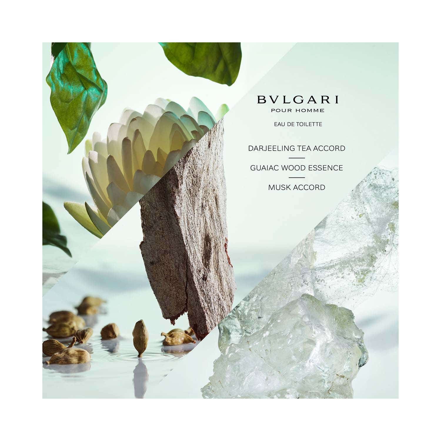 Bvlgari Pour Homme Eau De Parfum (100ml) - Bvlgari