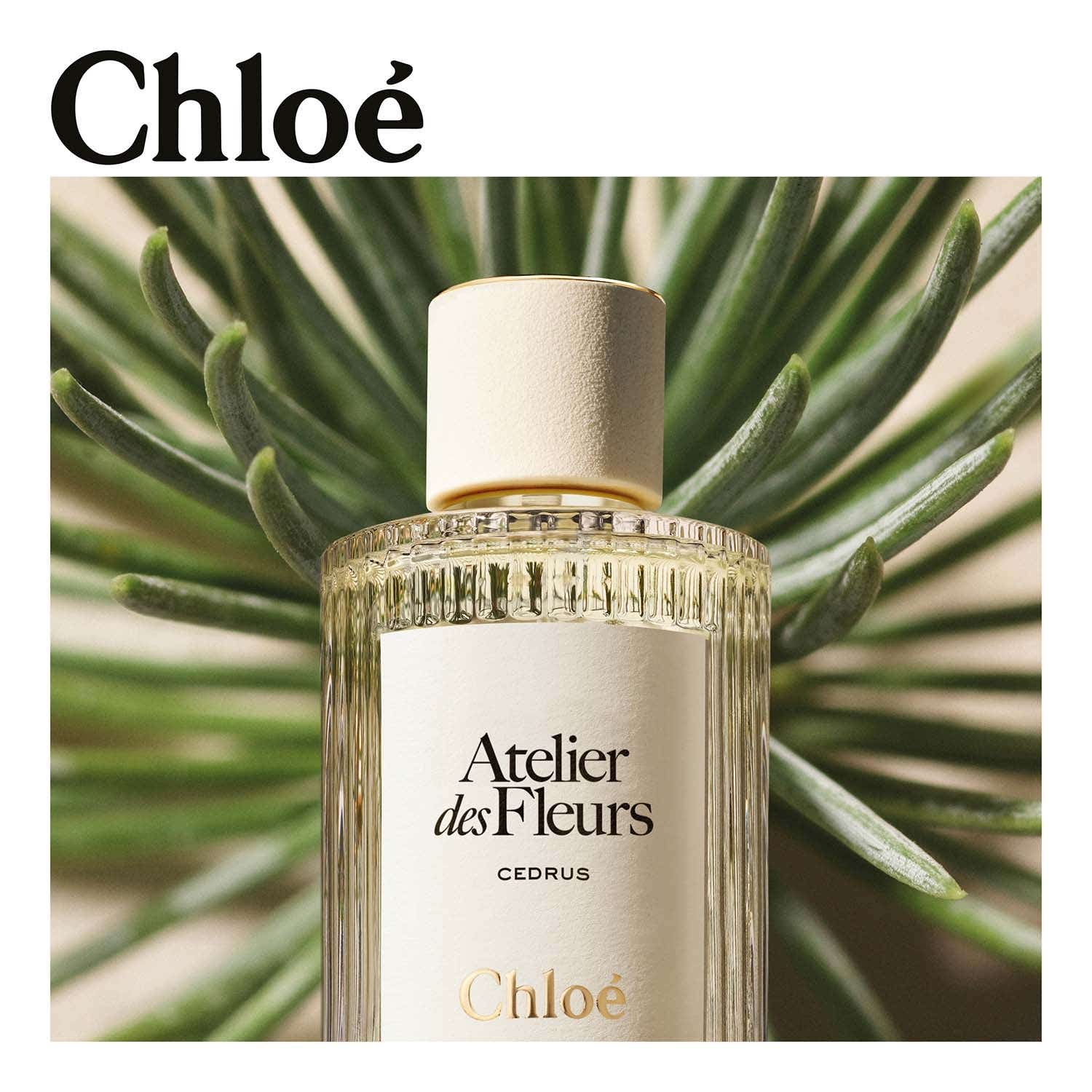 Chloe Atelier Des Fleurs Cedrus EDP (150 ml) - Chloe