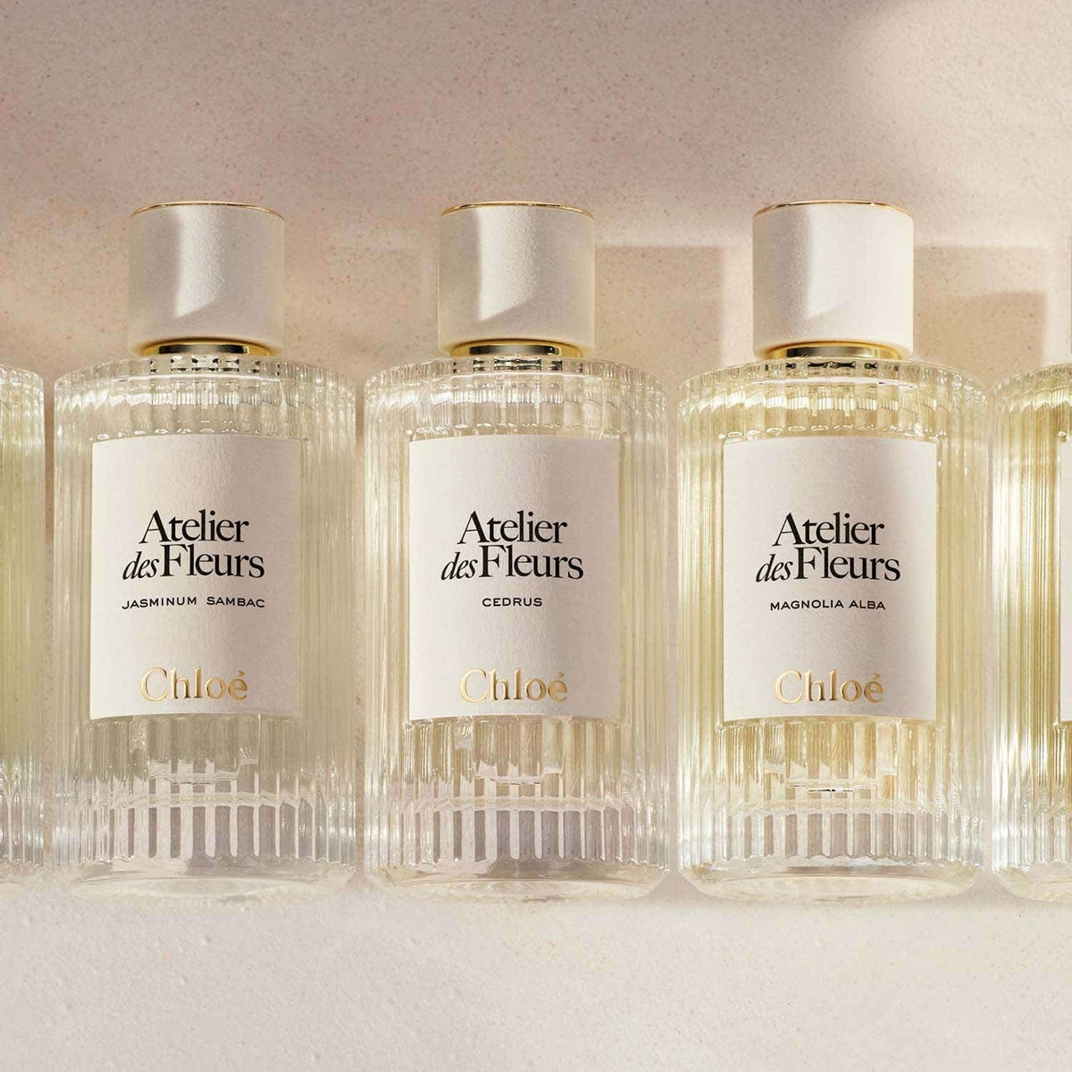 Chloe Atelier Des Fleurs Cedrus EDP (150 ml) - Chloe