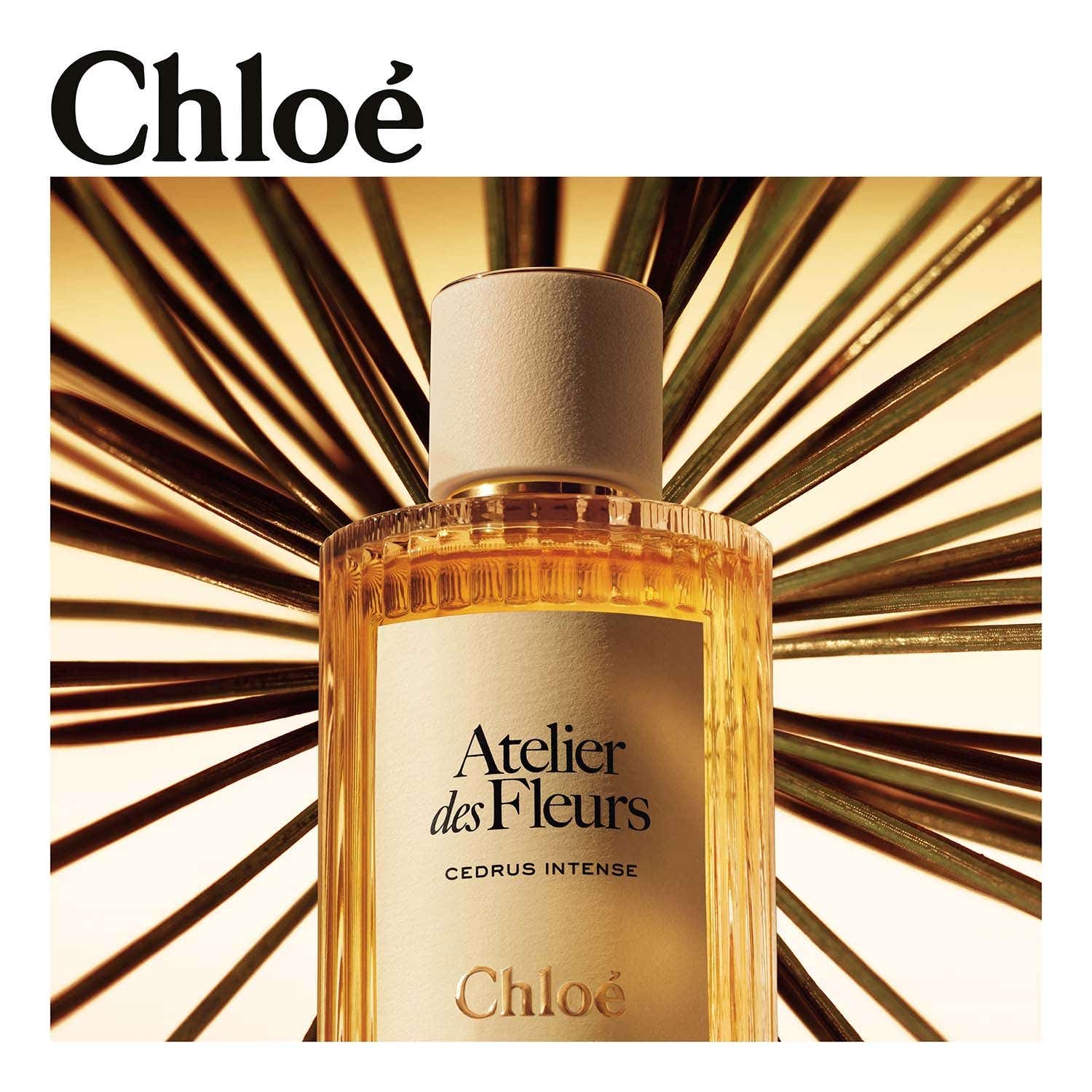 Chloe Atelier Des Fleurs Cedrus Intense EDP (150 ml) - Chloe