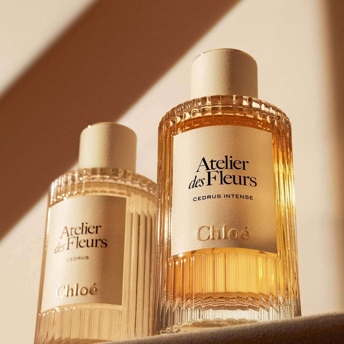 Chloe Atelier Des Fleurs Cedrus Intense EDP (150 ml) - Chloe