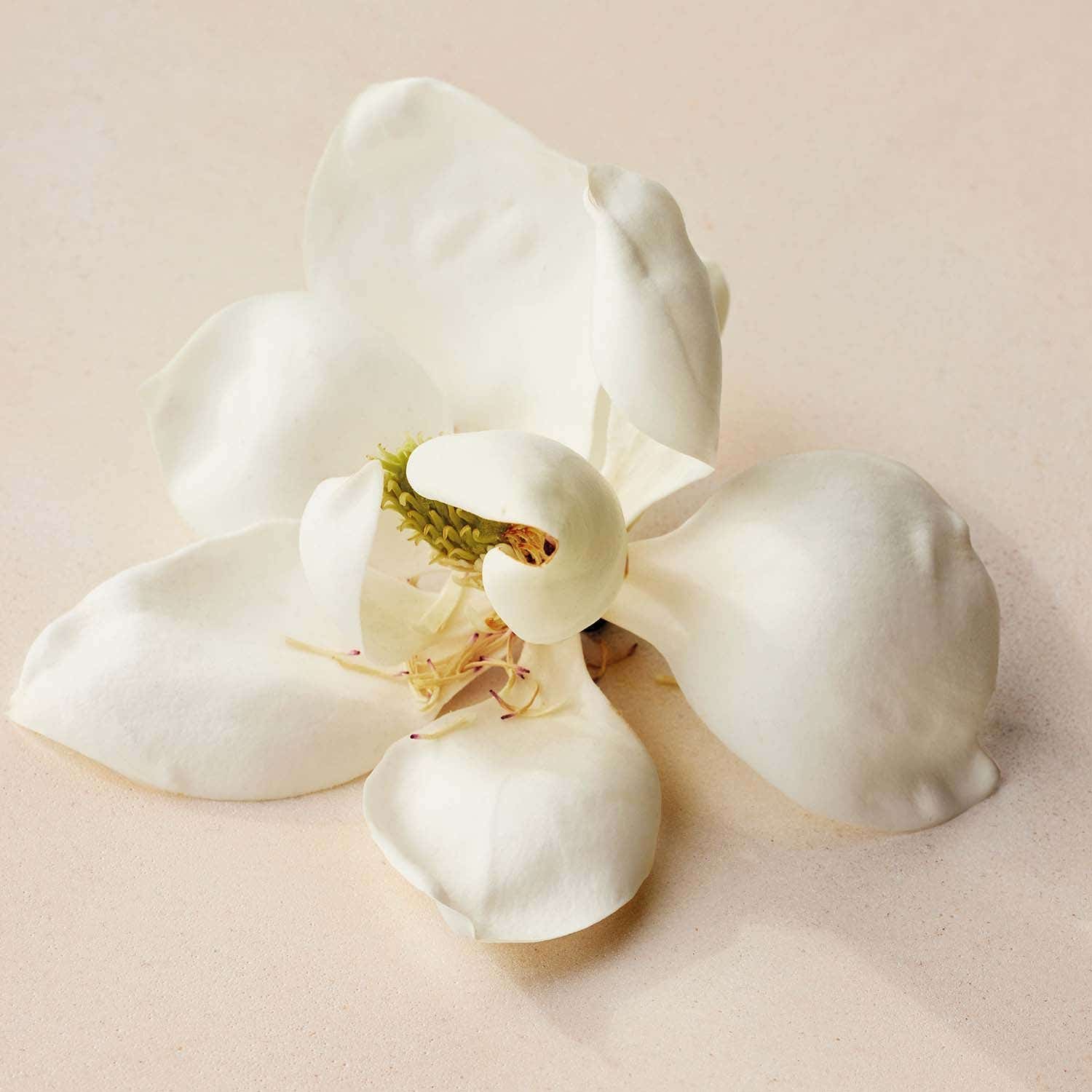 Chloe Atelier Des Fleurs Magnolia Alba EDP (150 ml) - Chloe