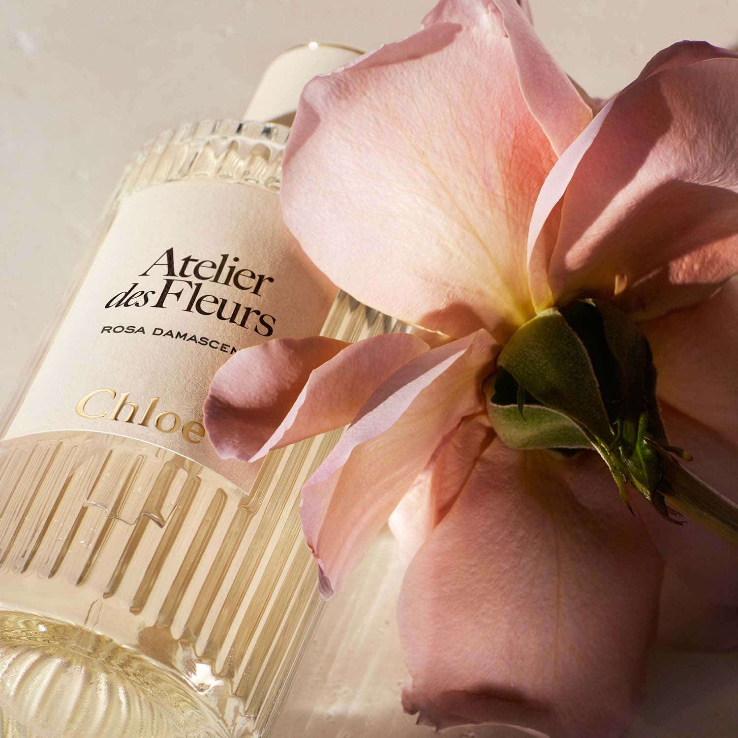 Chloe Atelier Des Fleurs Rosa Damascena EDP (150 ml) - Chloe
