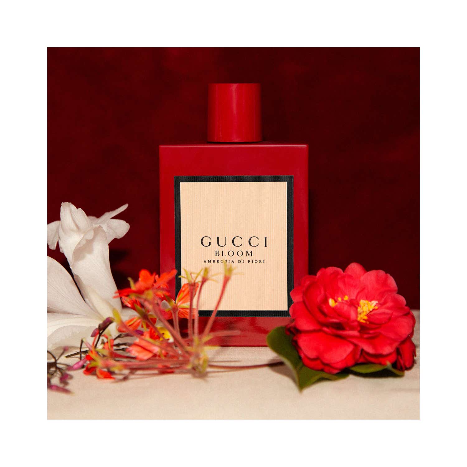 Gucci Bloom Ambrosia Di Fiori Intense Eau De Parfum (50ml) - Gucci
