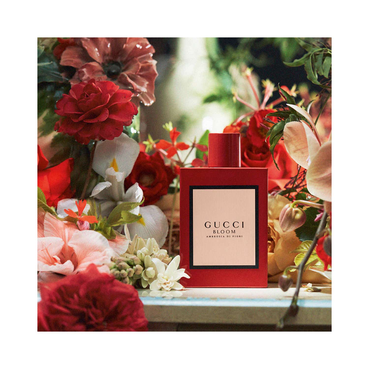 Gucci Bloom Ambrosia Di Fiori Intense Eau De Parfum (50ml) - Gucci