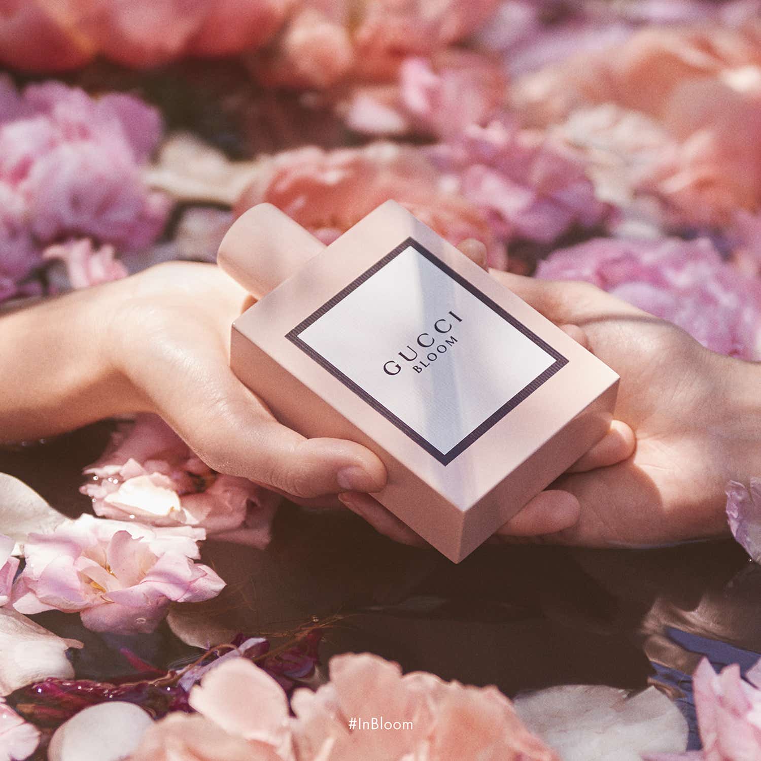 Gucci Bloom Eau De Parfum (50ml) - Gucci