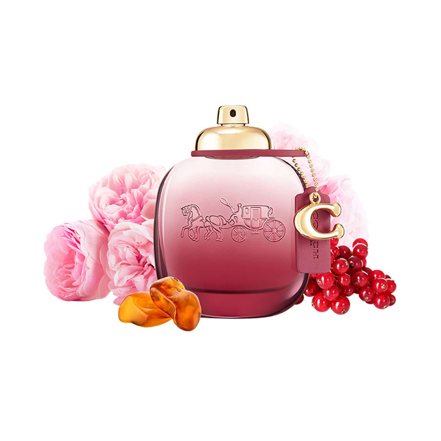 Coach Wild Rose Eau De Parfum (90ml) - Coach