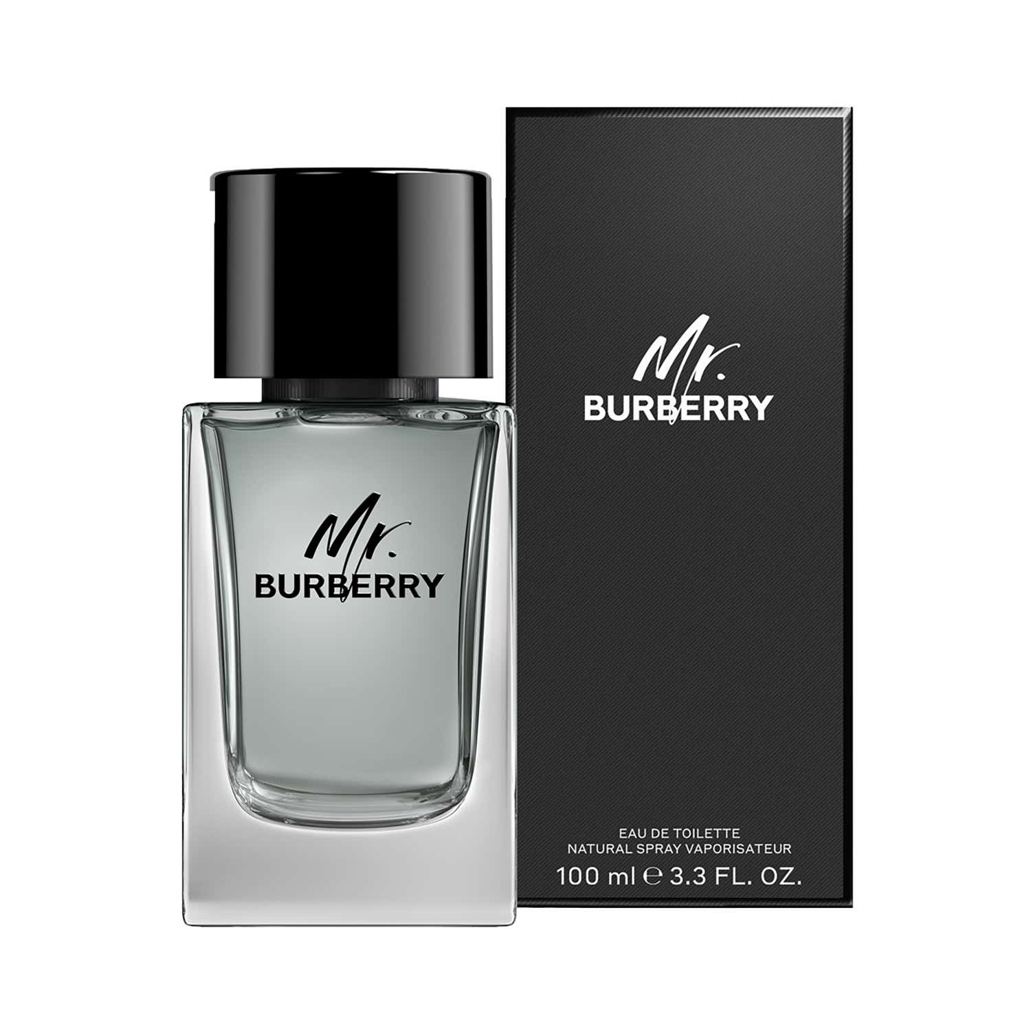Burberry Mr. Burberry Eau De Toilette (100ml) - Burberry