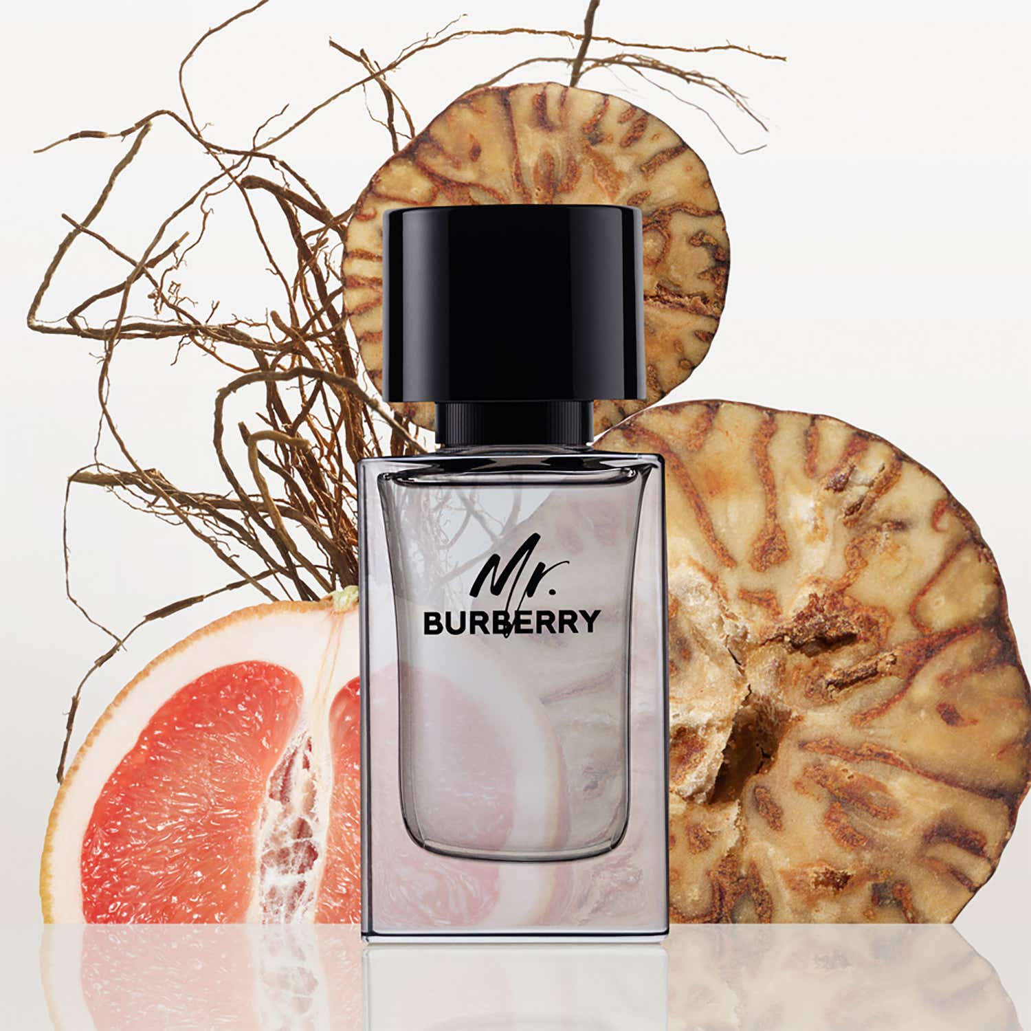 Burberry Mr. Burberry Eau De Toilette (100ml) - Burberry