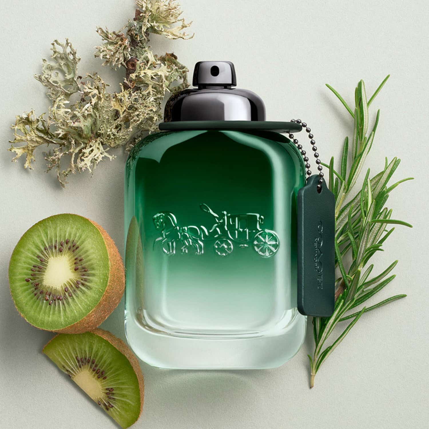 Coach Green Eau De Toilette (100 ml) - Coach