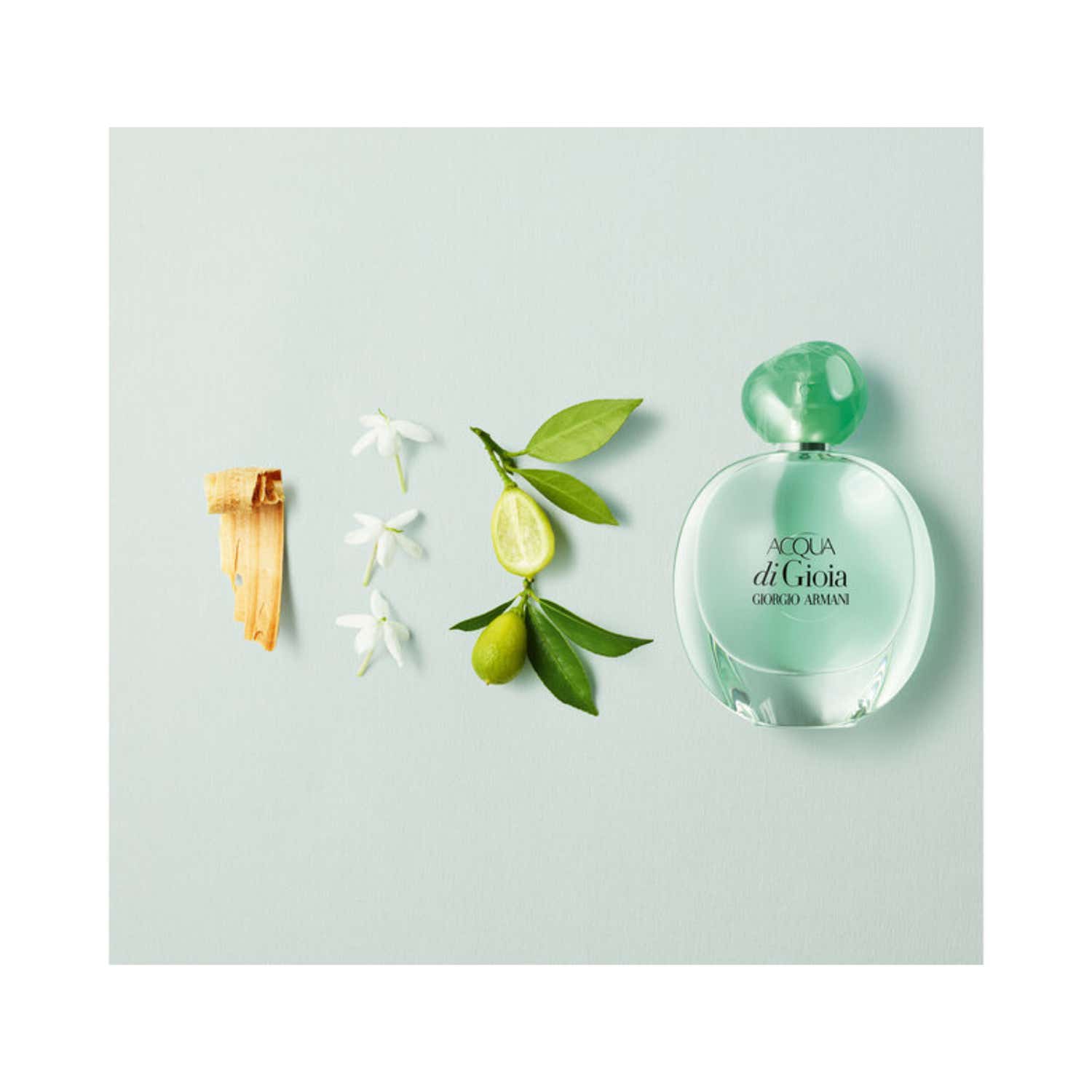 Giorgio Armani Acqua Di Gioia Eau De Parfum (50ml) - Giorgio Armani