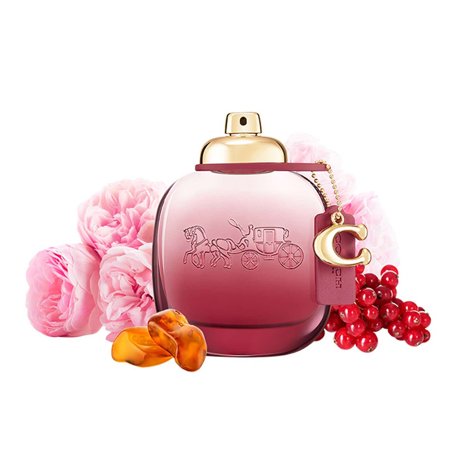 Coach Wild Rose Eau De Parfum (50ml) - Coach