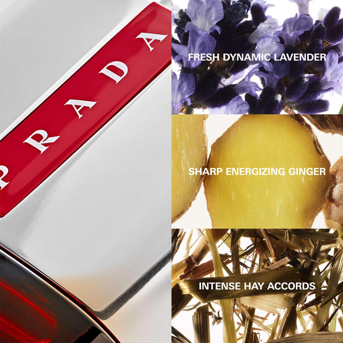 Prada Luna Rossa Sport Eau De Toilette (50ml) - Prada