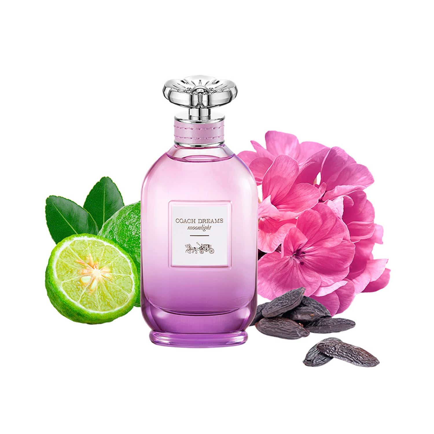 Coach Dreams Moonlight EDP (60 ml) - Coach