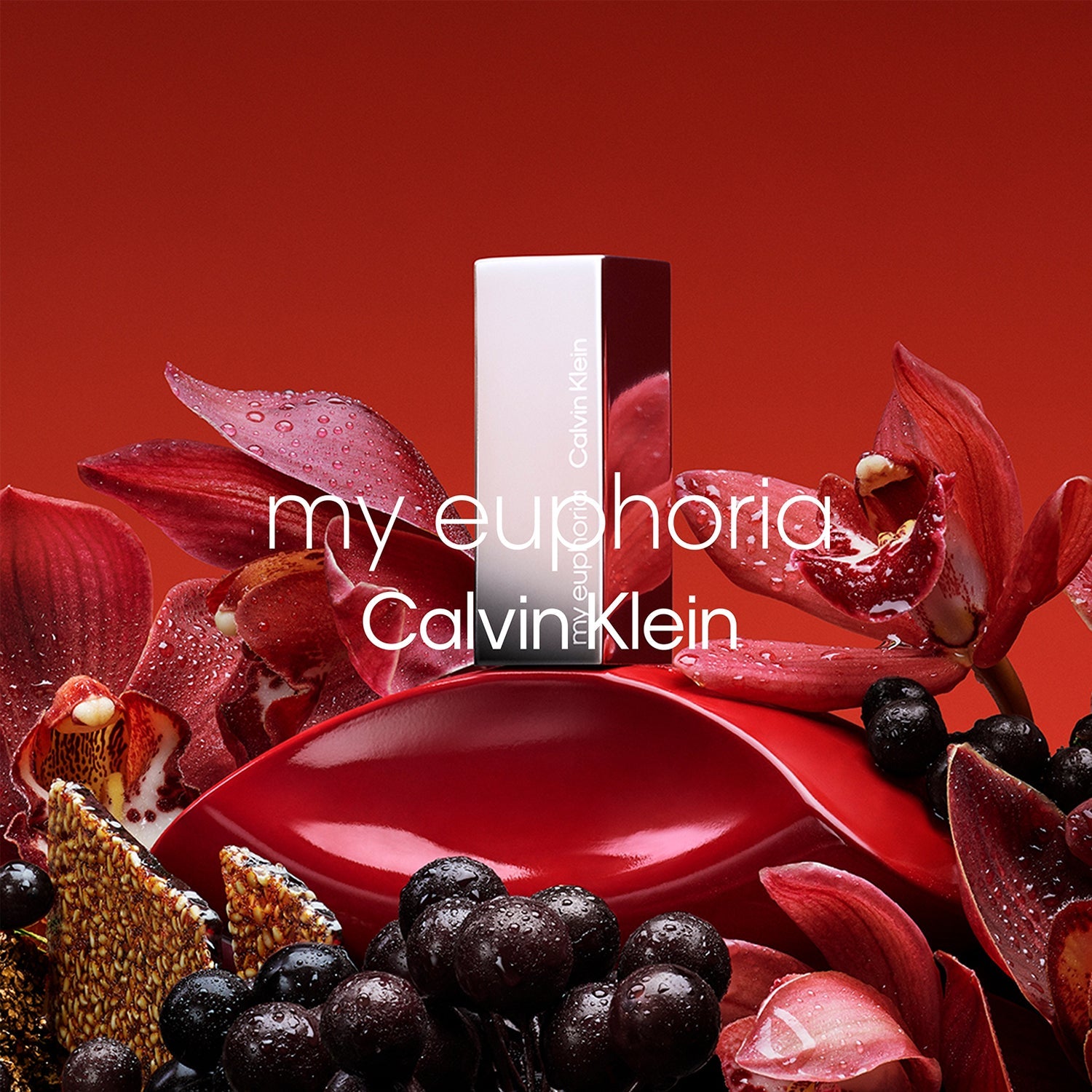 Calvin Klein My Euphoria Eau de Parfum for Women (50 ml) - Calvin Klein