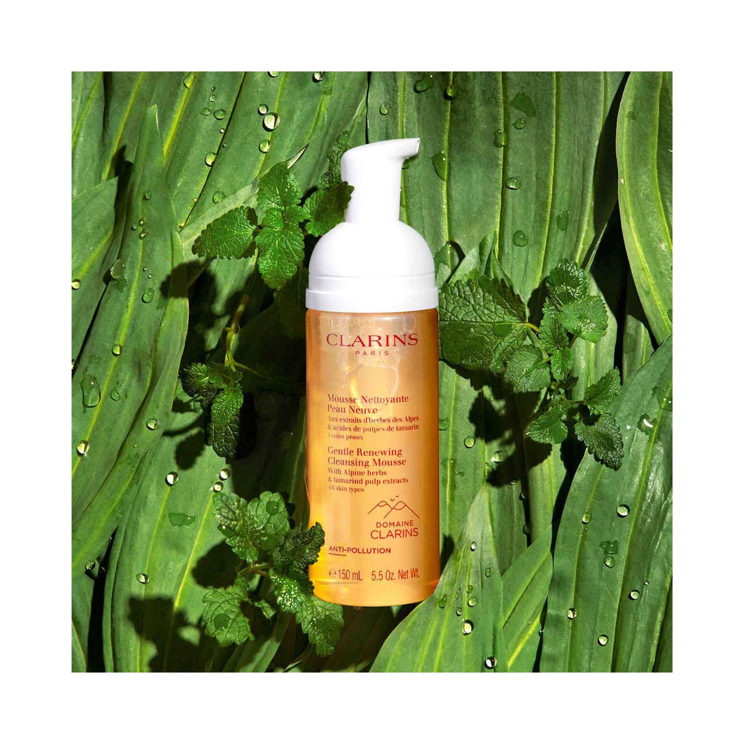 Clarins Gentle Renewing Cleansing Mousse (150ml) - Clarins