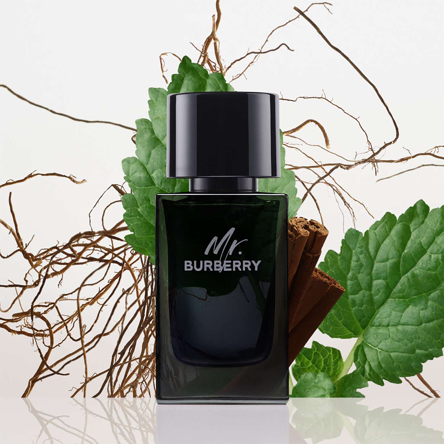 Burberry Mr. Burberry Eau De Parfum (150ml) - Burberry