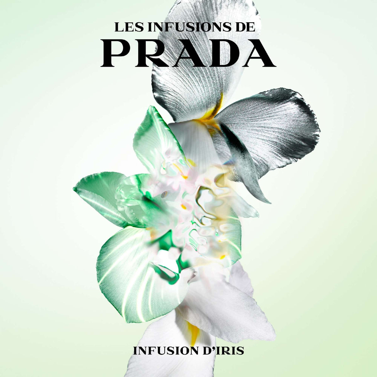Prada Infusion d'Iris Eau de Parfum Spray 100 ml
